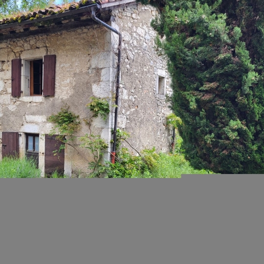  LES ORCHIDEES : Domaines / Propriétés | THOIRY (01710) | 318 m2 | 1 280 000 € 